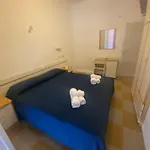 Lucciola 2*